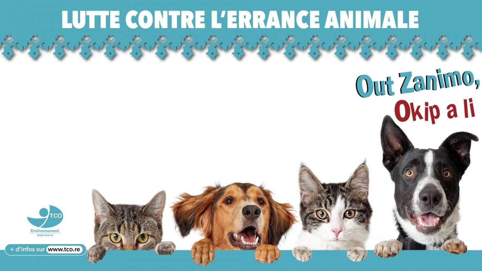 Journée mondiale des animaux du 4 au 9 octobre le TCO sensibilise le